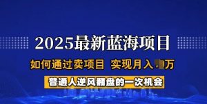 2025蓝海项目,普通人如何通过卖项目,实现月入过W,全过程【揭秘】-资源云
