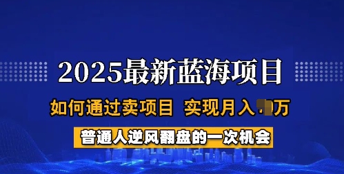2025蓝海项目，普通人如何通过卖项目，实现月入过W，全过程【揭秘】-资源云