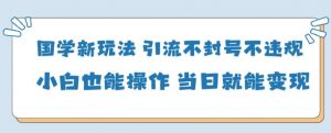 国学新玩法,引流不封号不违规小白也能操作,当日就能变现-资源云