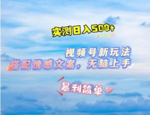 微信视频号最新玩法，表情包搭配情感文案，2分钟一条原创作品，简单好上手，轻松日入几张-资源云