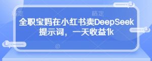 全职宝妈在小红书卖DeepSeek提示词，一天收益1k-资源云