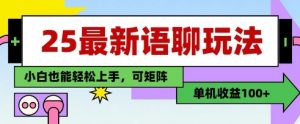 25年最新语聊玩法,纯手工,单机收益100+,小白也能轻松上手,可矩阵操作-资源云