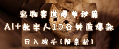 宠物赛道爆单秘籍：AI+数字人10分钟造爆款，日入1k-资源云