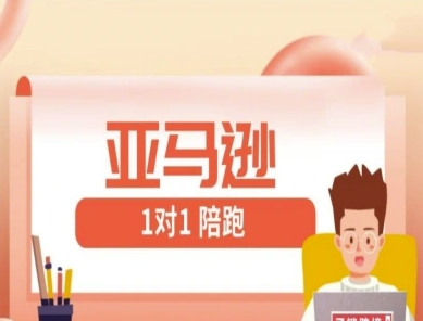 亚马逊1对1陪跑课(FBA/FBM精铺)跨境亚马逊教程-资源云