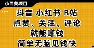 小而美的项目，抖音小红书B站视频点赞、关注、评论就能挣钱，简单无脑立见收益，妥妥的零撸项目【揭秘】-资源云