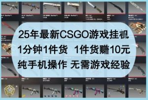 25年最新CSGO游戏挂G,1分钟1件货,1件货挣10元,纯手机操作,无需游戏经验【揭秘】-资源云