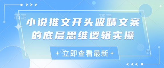小说推文开头吸睛文案的底层思维逻辑实操-资源云