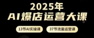 2025年AI爆店运营大课,13节AI实操课+37节流量运营课-资源云