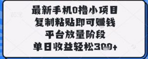 最新手机0撸小项目,复制粘贴即可挣钱,平台放量阶段,单日收益轻松3张+【揭秘】-资源云