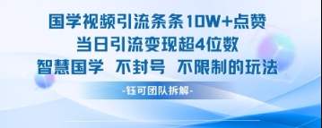 国学视频引流条条10W+点赞当日引流变现超4位数-资源云