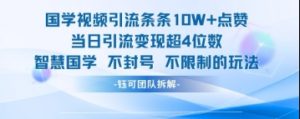 国学视频引流条条10W+点赞当日引流变现超4位数-资源云