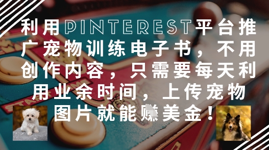 利用Pinterest平台推广宠物训练电子书，不用创作内容，只需要每天利用业余时间，上传宠物图片就能挣美金!-资源云