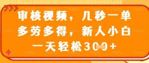 视频审核员，几秒一单，不限时间，不限地点，多做多得，新人小白一天轻松几张+【揭秘】-资源云