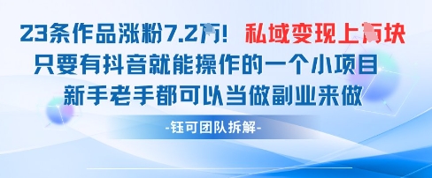 抖音私域项目23条作品涨粉7.2W，私域变现1W-资源云