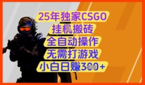 25年独家CSGO挂G搬砖,全自动操作,无需打游戏,小白日入3张+【揭秘】-资源云