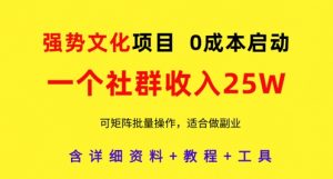 强势文化项目,一个社群收入25个W,0成本启动,可矩阵批量操作,原创详细实操教程-资源云