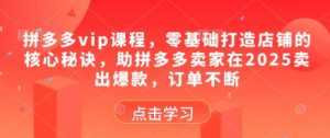 拼多多vip课程,零基础打造店铺的核心秘诀,助拼多多卖家在2025卖出爆款,订单不断-资源云
