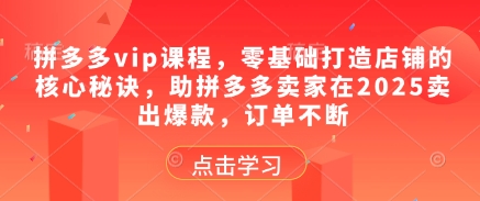 拼多多vip课程，零基础打造店铺的核心秘诀，助拼多多卖家在2025卖出爆款，订单不断-资源云