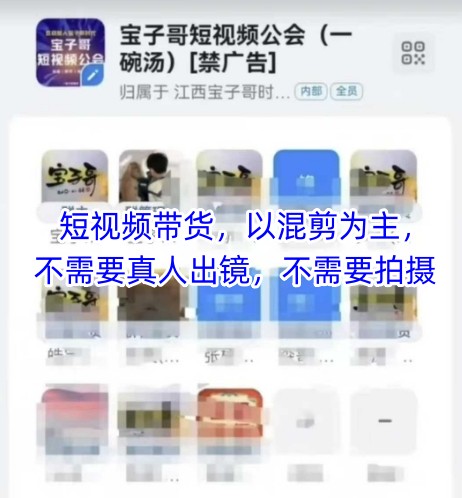 宝子哥头部团队短视频带货，以混剪为主，不需要真人出镜，不需要拍摄-资源云