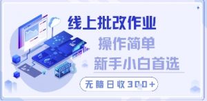 线上批改作业,操作简单新手小白首选,无脑日收300+【揭秘】-资源云