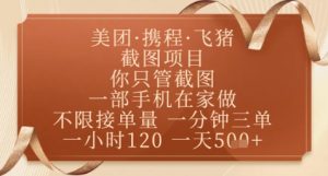飞猪美团截图项目,你只管截图,一部手机在家做,正规平台无套路,一天5张+【揭秘】-资源云