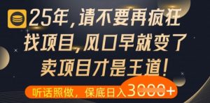 什么?25年你还在疯狂找项目做,醒醒吧,看完这些你全都懂了【揭秘】-资源云