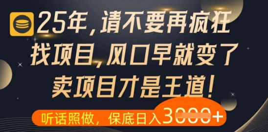 什么？25年你还在疯狂找项目做，醒醒吧，看完这些你全都懂了【揭秘】-资源云