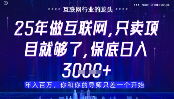 什么！25年你还在找项目做？风口早就变了，卖项目才是稳挣不赔【揭秘】-资源云