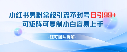 小红书男粉常规引流不封号日引99+变现简单 可矩阵可复制小白容易上手-资源云