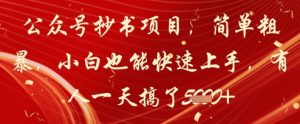 公众号抄书项目,简单粗暴,小白也能快速上手,有人一天搞了1k+-资源云