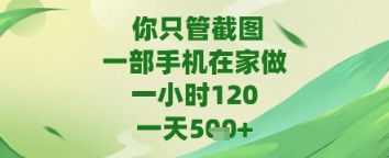 你只管截图，一部手机在家做，苹果安卓都可以，一天5张+【揭秘】-资源云