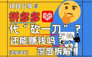 【2025最新】拼多多代坎助力项目深度拆解：还能挣钱吗?全流程玩法-资源云