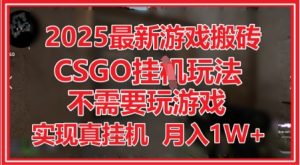 2025最新游戏搬砖,CSGO挂G,不需要玩游戏,实现真挂G,月入1W+【揭秘】-资源云