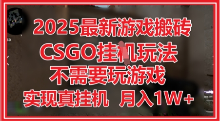 2025最新游戏搬砖，CSGO挂G，不需要玩游戏，实现真挂G，月入1W+【揭秘】-资源云
