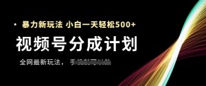 视频号分成计划，全网最暴力玩法，新手一天也能轻松5张+-资源云