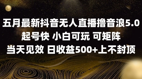 2025五月最新无人直播撸音浪单日产出5张+实操教程【揭秘】-资源云