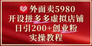 外面卖5980开设拼多多虚拟店铺:单日引流200+创业付费粉实战教程-资源云