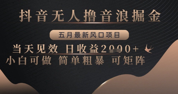 抖音无人撸音浪掘金，五月最新风口项目，当天见效，日收益多张，小白可做简单粗暴可矩阵【揭秘】-资源云