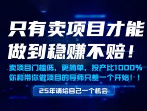 只有卖项目才能做到稳挣不赔,门槛低,更简单,你也可以年入百个W【揭秘】-资源云
