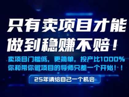 只有卖项目才能做到稳挣不赔，门槛低，更简单，你也可以年入百个W【揭秘】-资源云