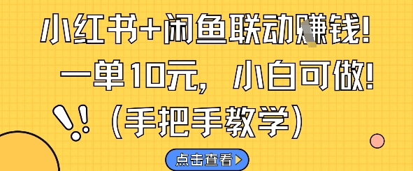 小红书+闲鱼联动挣钱，一单10元，小白可做-资源云