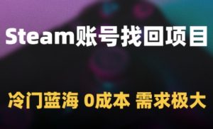 Steam账号找回项目，冷门蓝海，0成本，需求极大-资源云