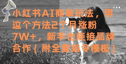 小红书AI商单玩法，用这个方法2个月涨粉7W+，新手也能接品牌合作(附全套指令模板)-资源云