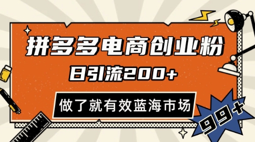 拼多多引流电商创业粉，日引200+，可矩阵放大，做了就有效【揭秘】-资源云