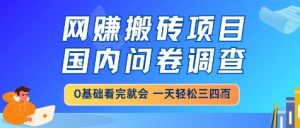 网创搬砖项目,国内问卷调查,小白轻松上手,一天三四张的也不难,干就完了【揭秘】-资源云