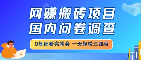 网创搬砖项目，国内问卷调查，小白轻松上手，一天三四张的也不难，干就完了【揭秘】-资源云