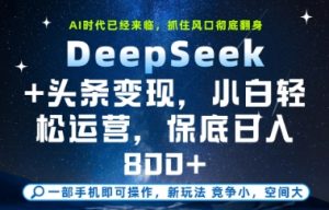 DeepSeek+头条变现,保姆级教学,小白轻松上手,日入8张+【揭秘】-资源云