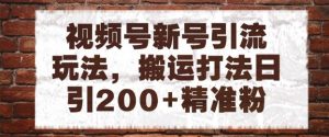 视频号新号引流玩法,搬运打法日引200+精准粉,可矩阵放大【揭秘】-资源云