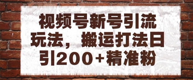 视频号新号引流玩法，搬运打法日引200+精准粉，可矩阵放大【揭秘】-资源云