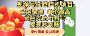 视频号托管挂G项目全网最稳,单价最高,绿色安全不封号提现秒到账,操作简单,收益稳定【揭秘】-资源云